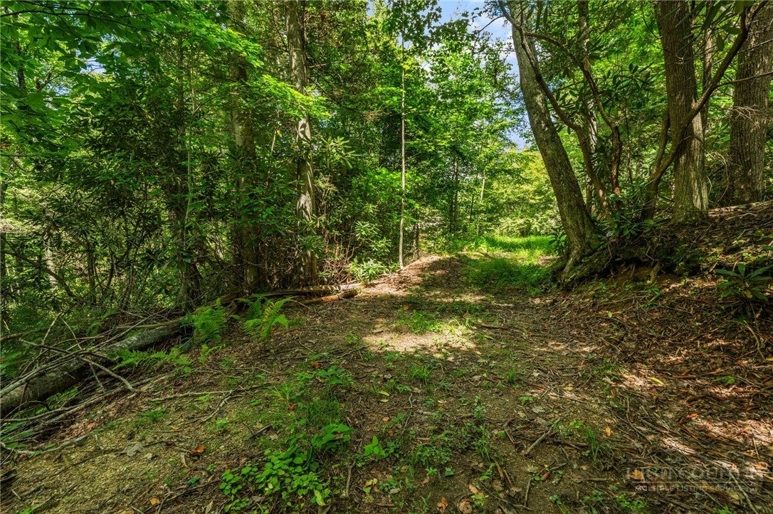 L11 Woodlake Loop