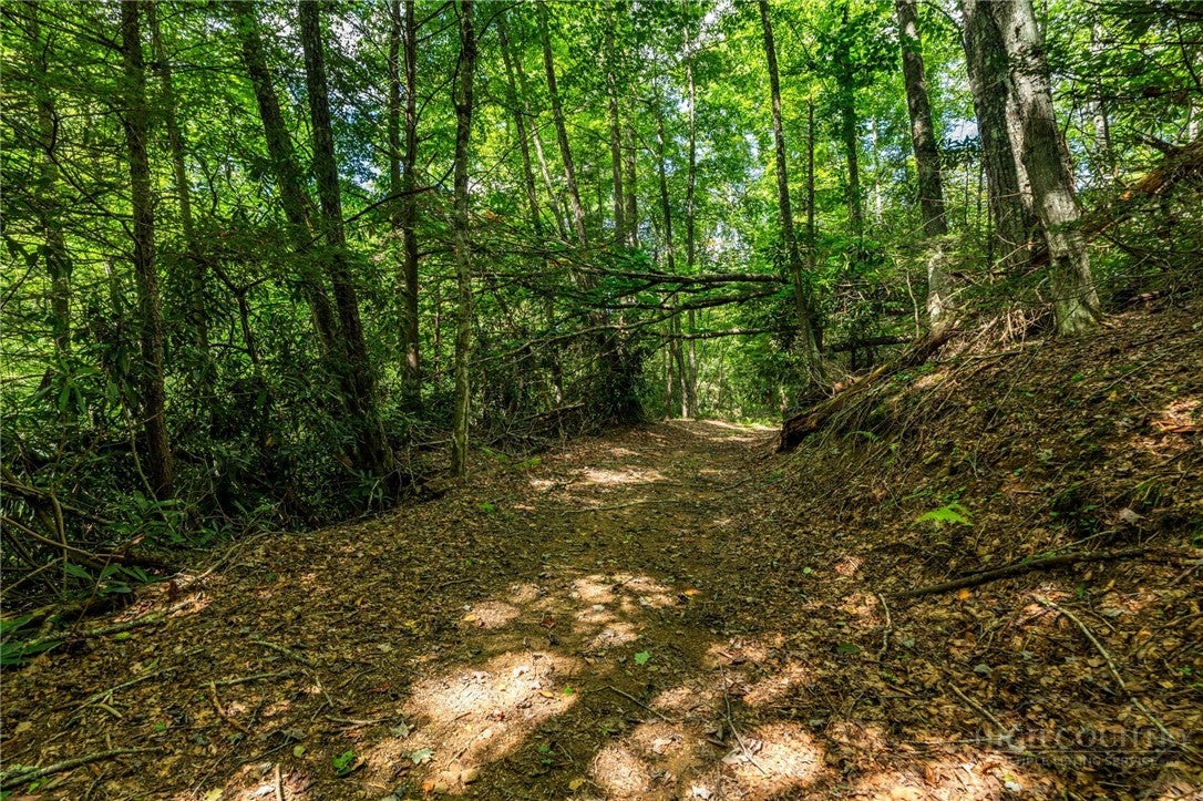 L11 Woodlake Loop