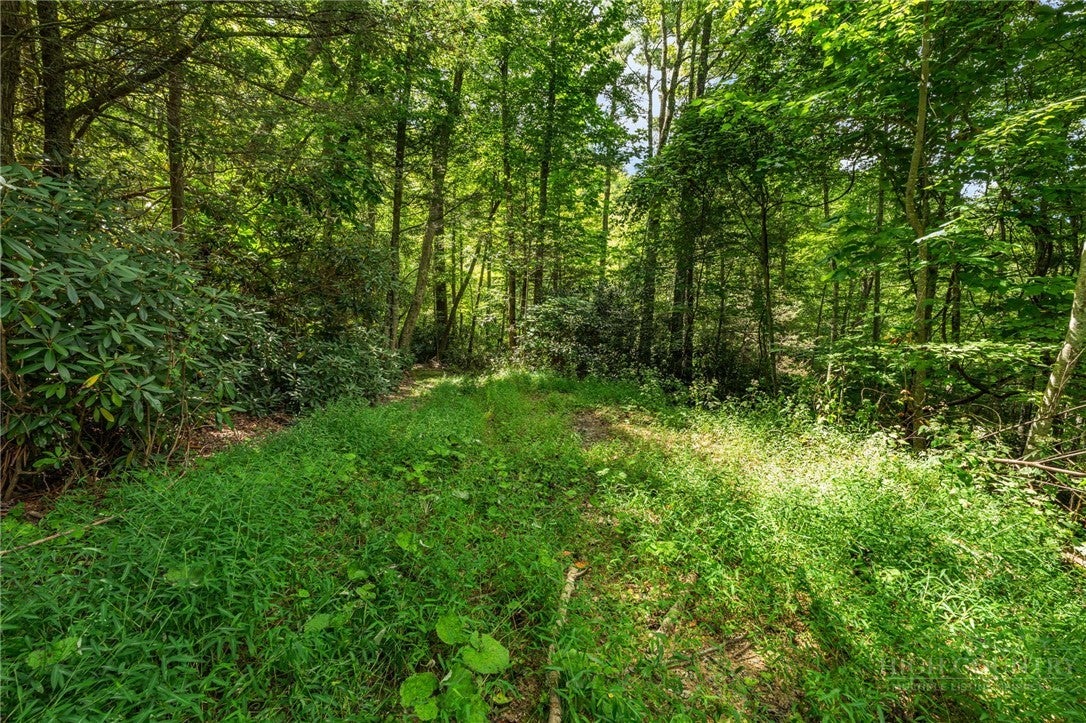 L11 Woodlake Loop