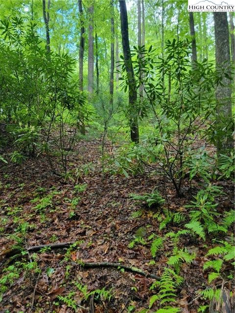 Photo of TBD Rocky Top Road, Lenoir, NC 28645 (MLS # 255626)