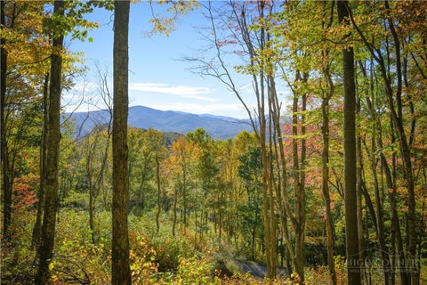 Photo of C76 Smokerise Drive, Banner Elk, NC 28604 (MLS # 264969)