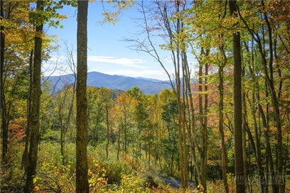 C76 Smokerise Drive Banner Elk NC 28604