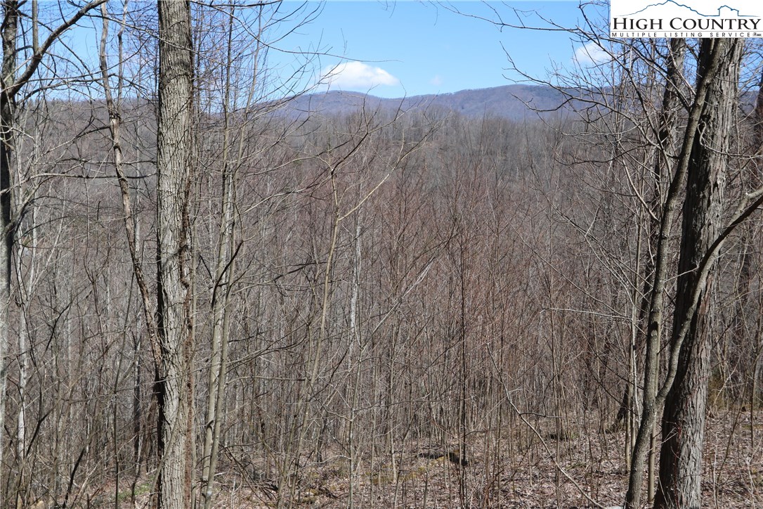 Boone, North Carolina 28607, United States, ,Land,Active,76208