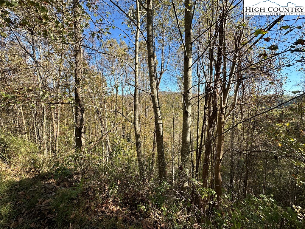 Boone, North Carolina 28607, United States, ,Land,Active,76208