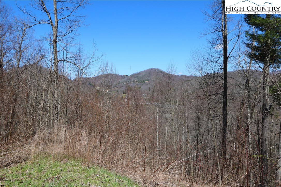 Boone, North Carolina 28607, United States, ,Land,Active,76208