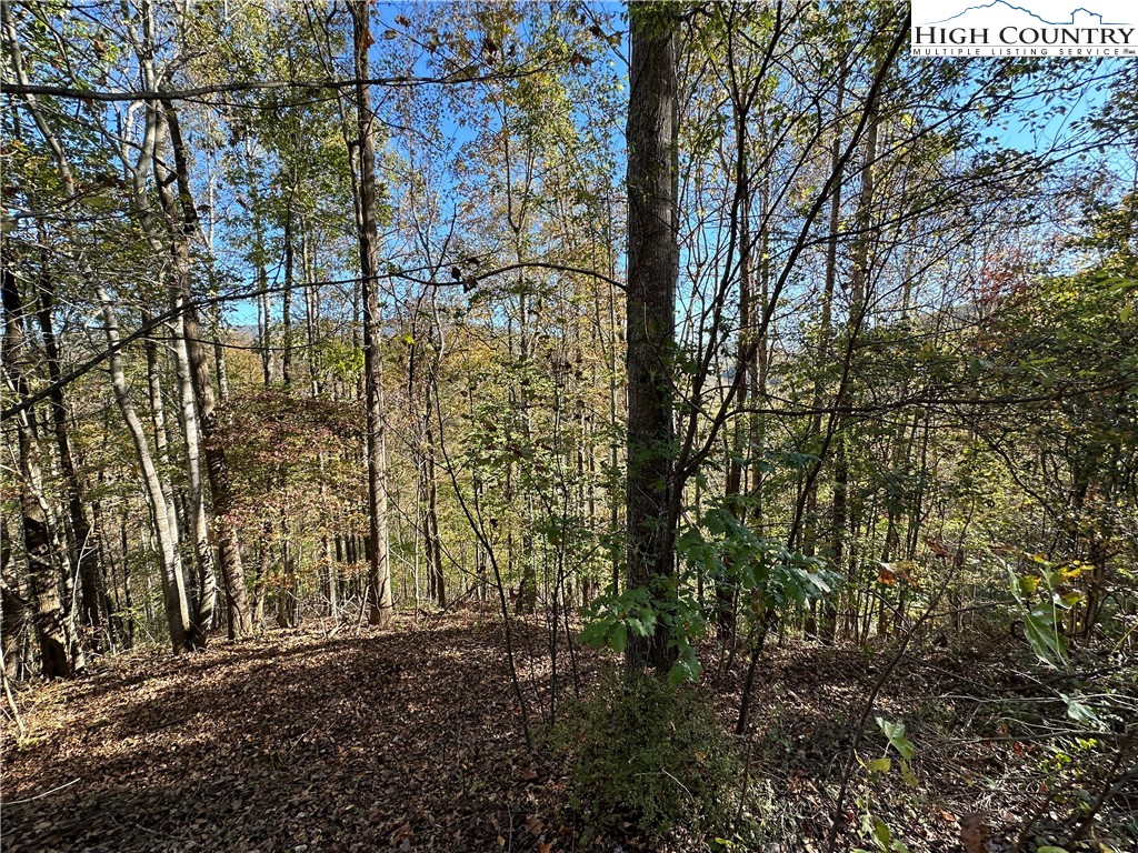 Boone, North Carolina 28607, United States, ,Land,Active,76208