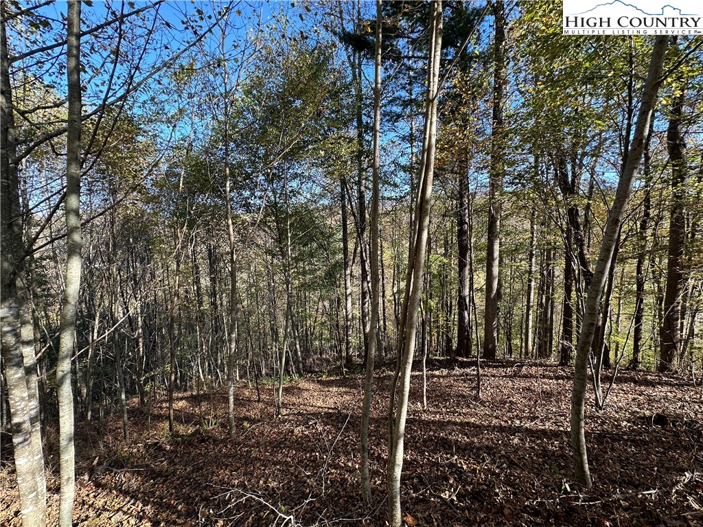 Boone, North Carolina 28607, United States, ,Land,Active,76208