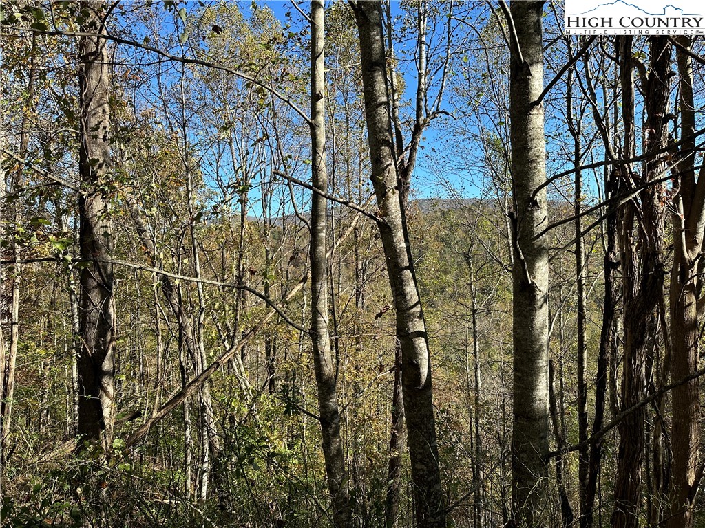 Boone, North Carolina 28607, United States, ,Land,Active,76208