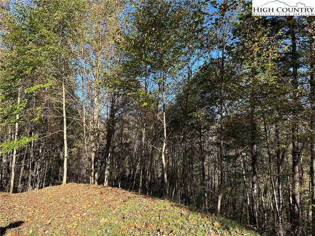 Boone, North Carolina 28607, United States, ,Land,Active,76208