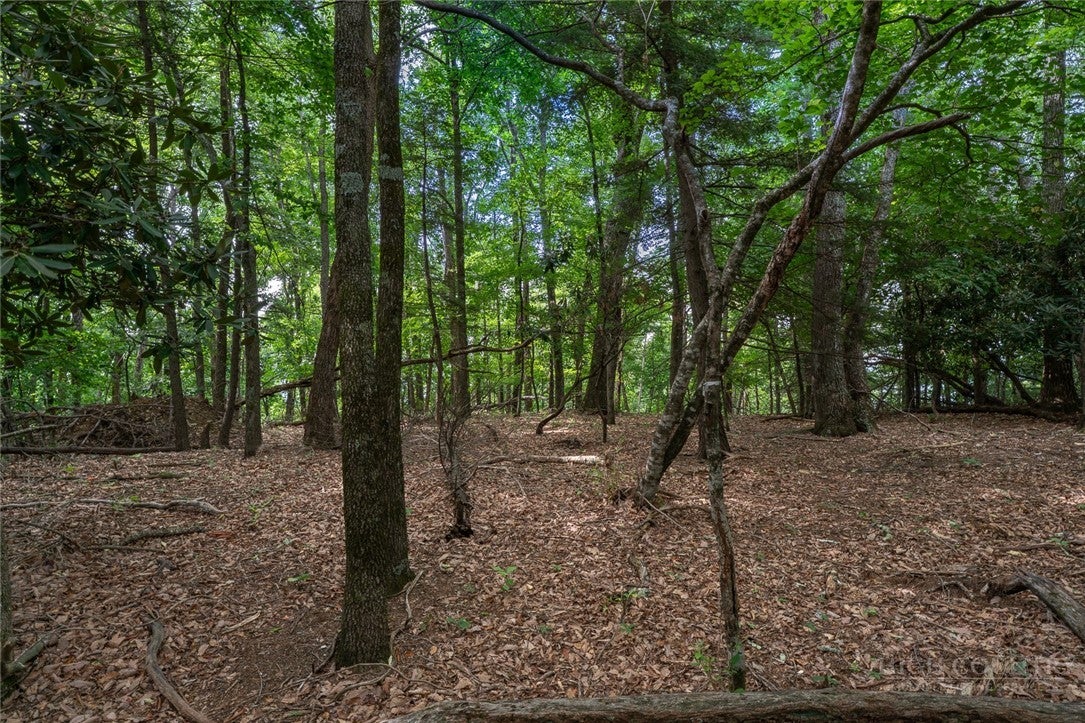 Lot 4 Old Orchard Road