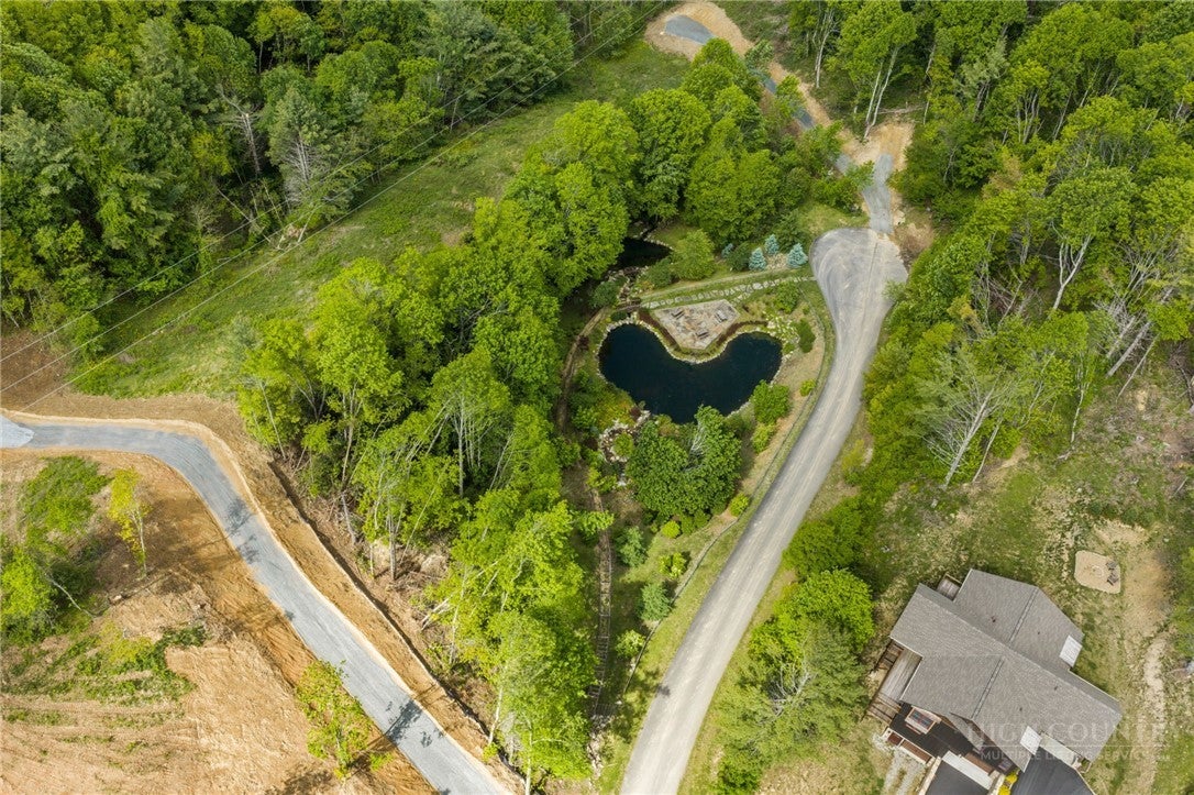 Lot 46 Silver Springs Farm Road