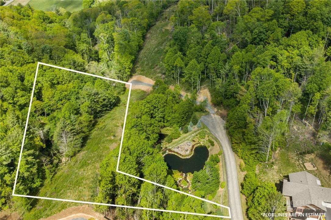 Lot 46 Silver Springs Farm Road