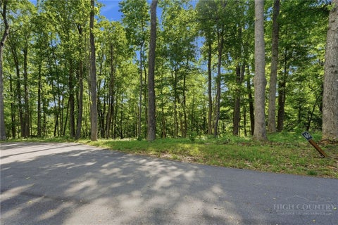 Vacant Land For Sale - LOT 46 Poplar Forest Drive<br/> Watauga County, Boone, NC 28604