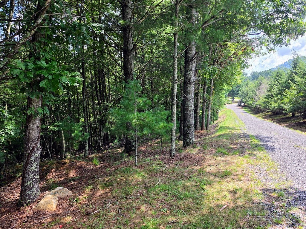 TBD Pine Springs Dr