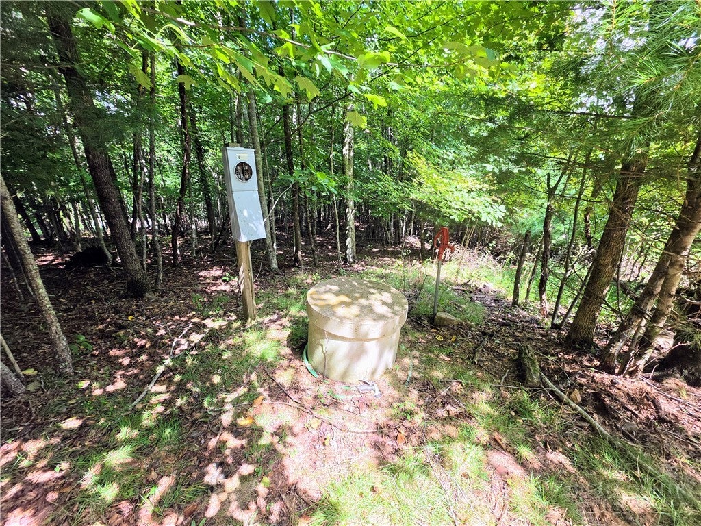 TBD Pine Springs Dr