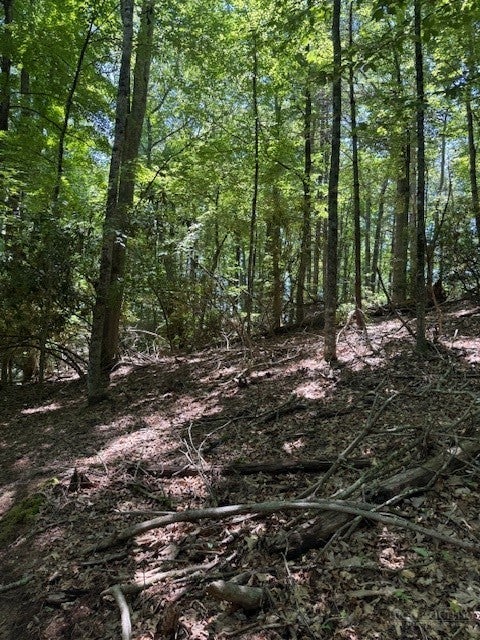 TBD Lot 20 High Meadows Lane