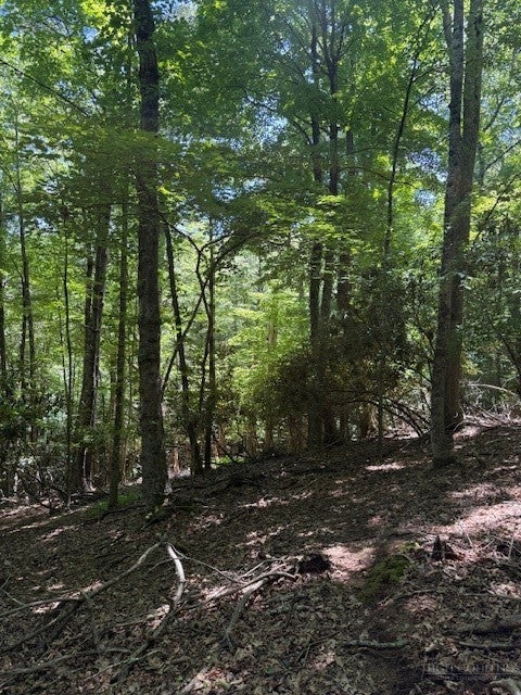 TBD Lot 20 High Meadows Lane