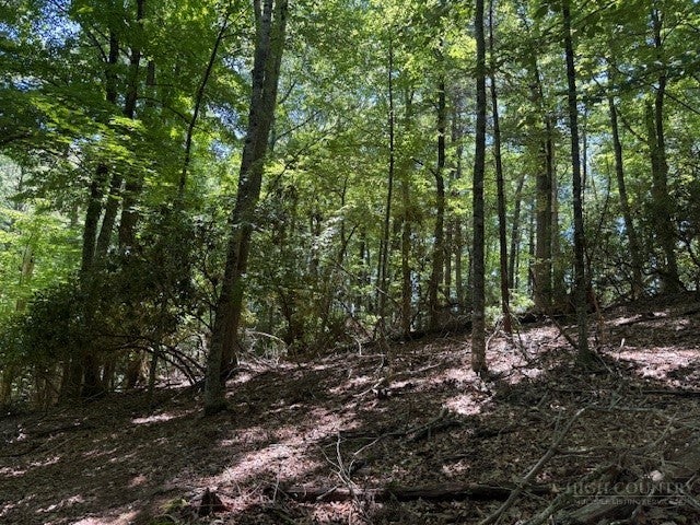 TBD Lot 20 High Meadows Lane