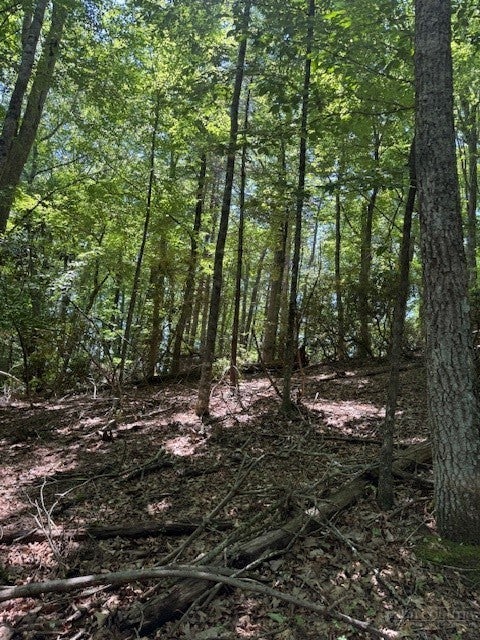 TBD Lot 20 High Meadows Lane