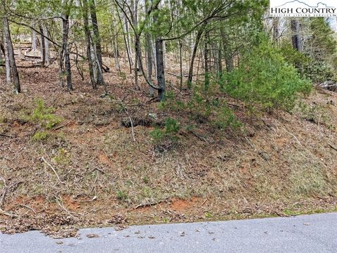 Photo of TBD Trout Lake Road, Deep Gap, NC 28618 (MLS # 252580)
