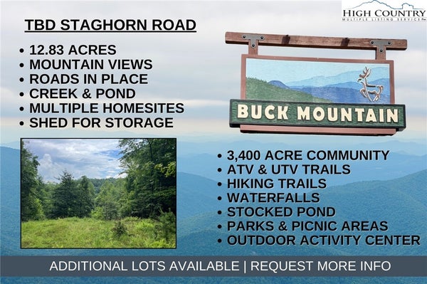 TBD STAGHORN ROAD, PURLEAR, NC 28665 - Image e253aa4ce6d6097233eb3d96590d4aaa/2314422509