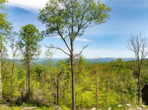 Photo of ES76 Lands End Trail, Banner Elk, NC 28604 (MLS # 264322)