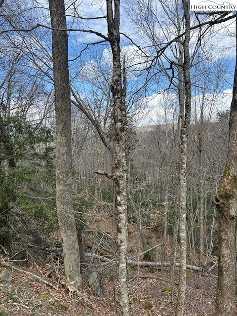 Photo of 116 E Blueberry Lane, Beech Mountain, NC 28604 (MLS # 261021)