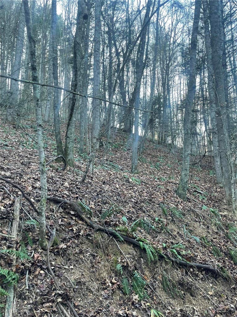 Photo of TBD Mountain Side Lane, Crumpler, NC 28617 (MLS # 263475)