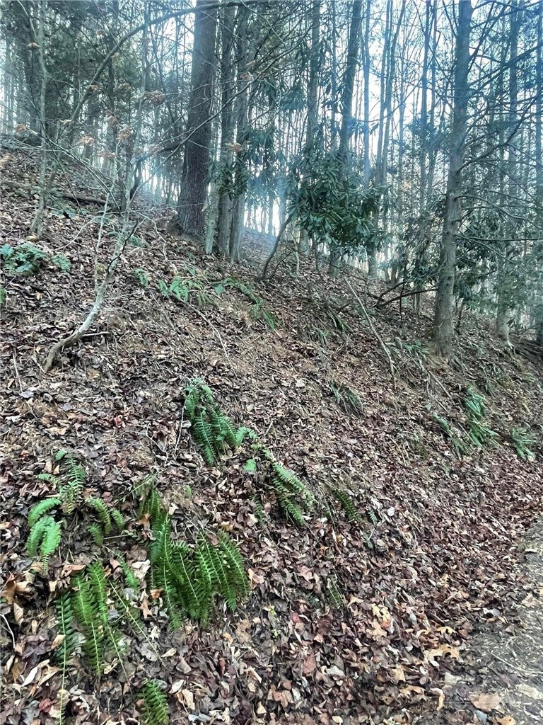 TBD Mountain Side Lane