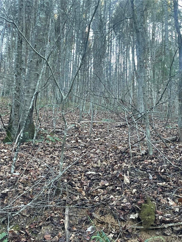 Photo of TBD Mountain Side Lane, Crumpler, NC 28617 (MLS # 263475)