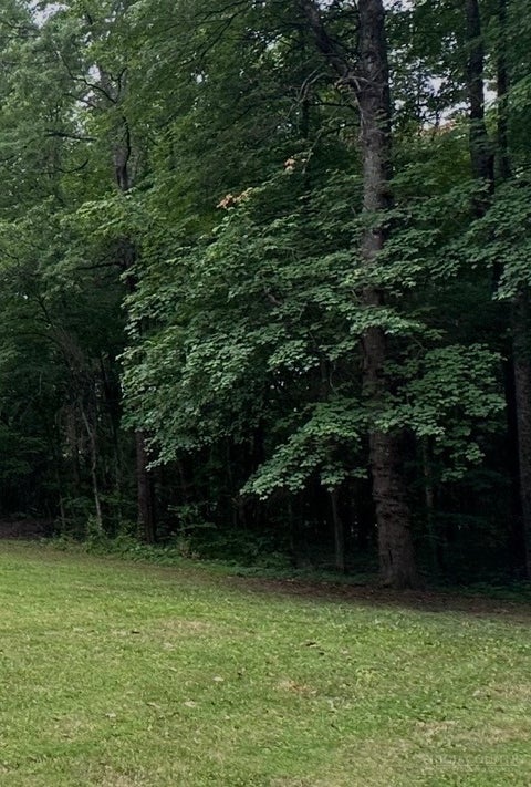 Photo of 255 Martin Brook Lane, Cleveland, NC 27013 (MLS # 263199)
