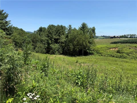 Photo of TBD Amberidge Drive, Jefferson, NC 28640 (MLS # 263271)