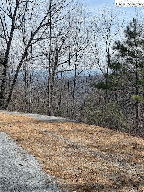 Photo of 81 Elk Horn Road, Ferguson, NC 28624 (MLS # 254032)