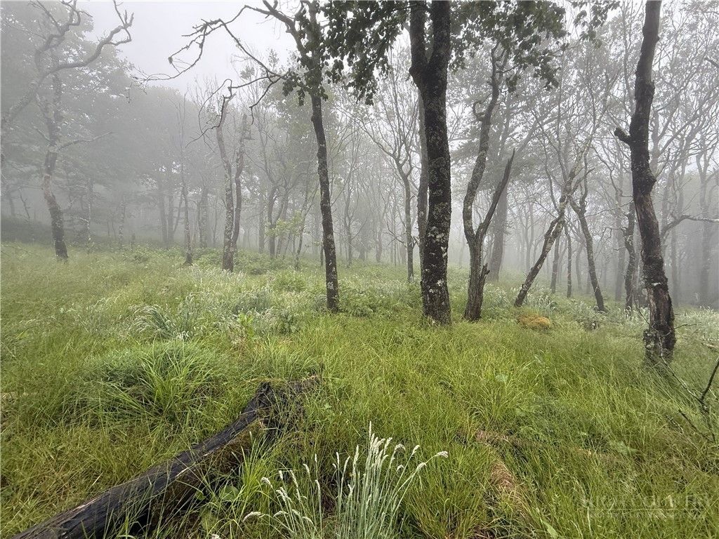 Photo of TBD (C5) Oz Circle Extension (TBD), Beech Mountain, NC 28604 (MLS # 262748)