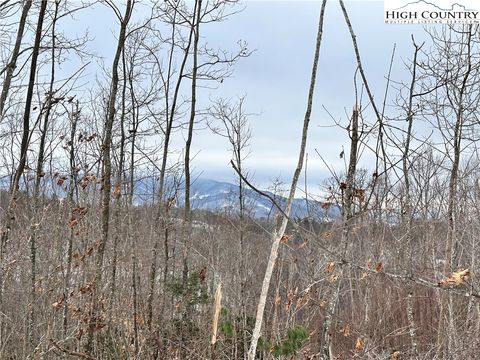 Photo of 0000 LOT 78 Black Bear Crossing, Elk Park, NC 28622 (MLS # 256977)