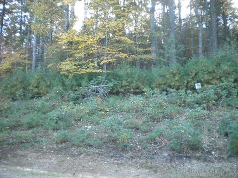 Vacant Land For Sale - LOT 5 Pine Chase<br/> Glade Valley, NC 28627