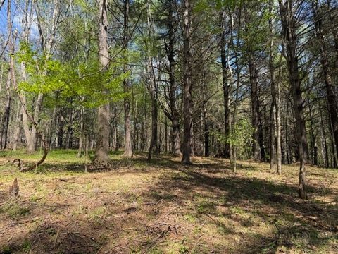 Photo of TBD (0.96 acre) Crestview Drive West, Creston, NC 28615 (MLS # 261213)