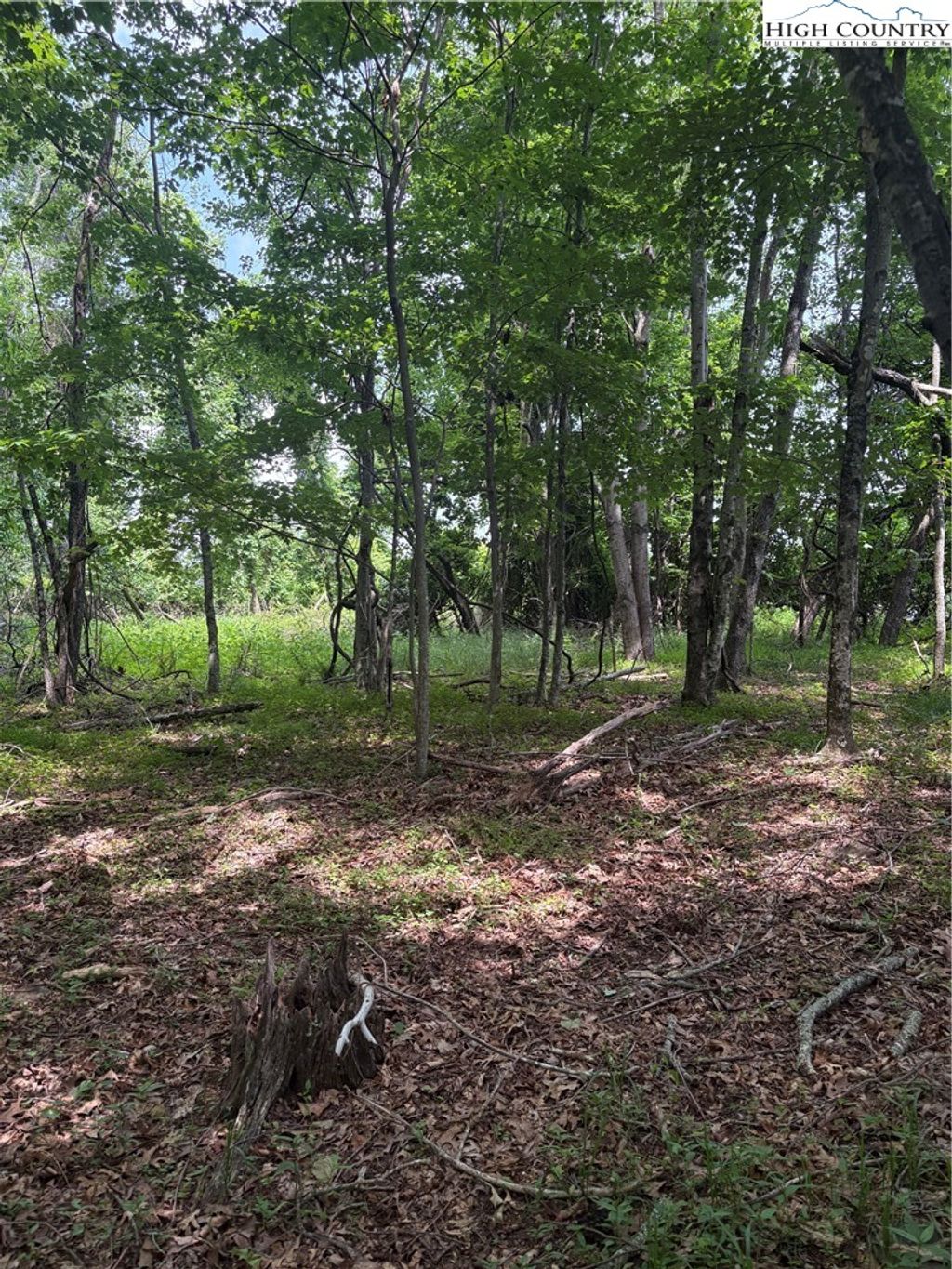 Photo of TBD Fairfield Drive, Sparta, NC 28675 (MLS # 260029)
