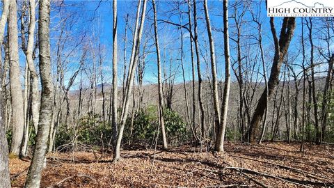 Photo of Tbd Chinquapin Springs, Newland, NC 28657 (MLS # 259852)
