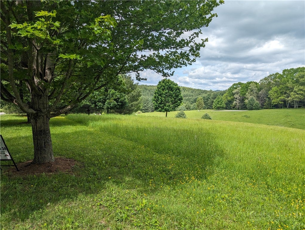 Lot 24 BEAR DEN Road