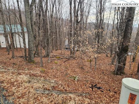 Photo of 153 Pond Creek Road, Beech Mountain, NC 28604 (MLS # 253956)