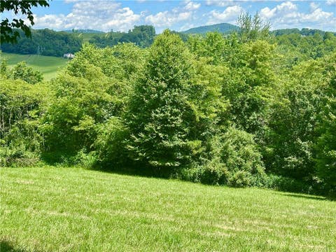Vacant Land For Sale - TBD Pinnacle Ridge Road<br/> Jefferson, NC 28640
