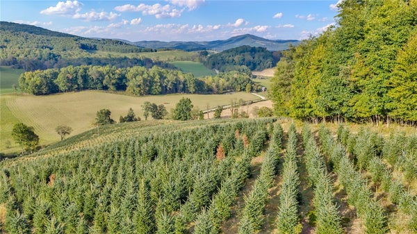 TBD 75A LOW GAP, TROUTDALE, VA 24378 - Image e786ddfe91336cd42bab8dd28e3b9a84/2201645281