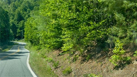 Photo of TBD Wildcat Road, Deep Gap, NC 28618 (MLS # 263572)