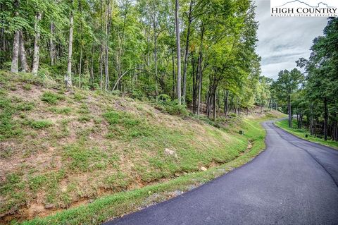 Photo of Lot 49 Wildcat Wilderness Parkway, Deep Gap, NC 28618 (MLS # 258121)