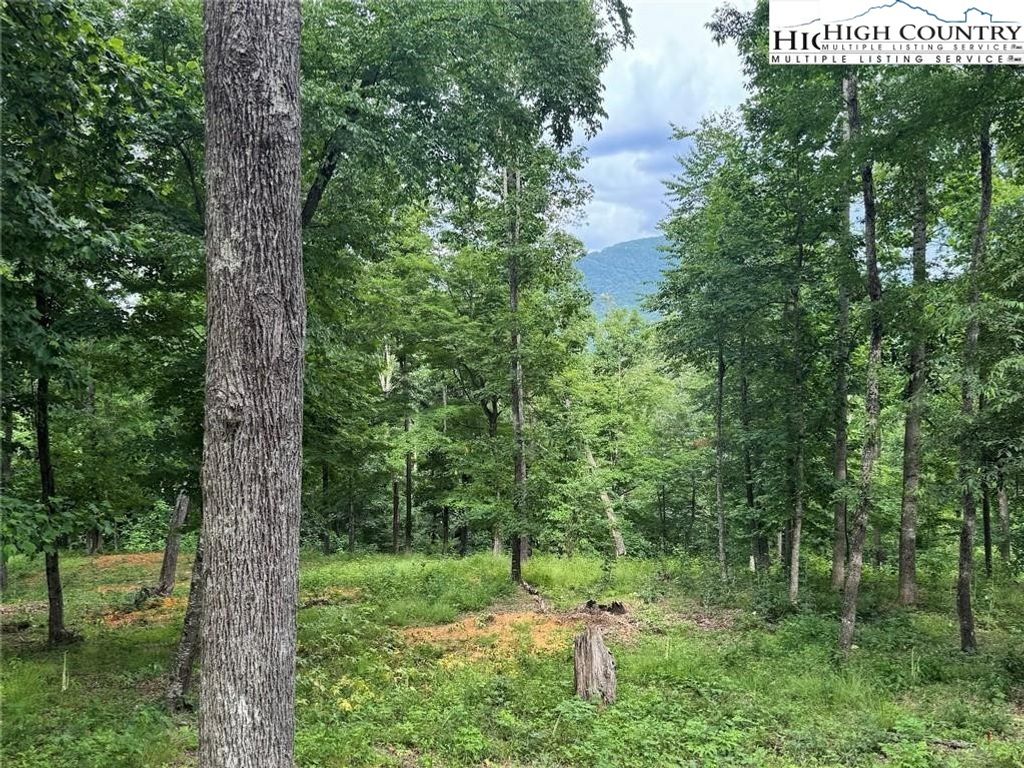 Photo of 7 Autumn Lane, West Jefferson, NC 28694 (MLS # 259236)