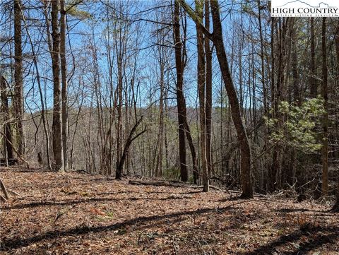 Photo of Lot 4 Running Cedar Lane, Crumpler, NC 28617 (MLS # 253910)