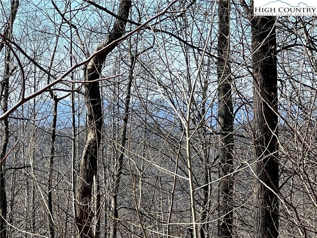 Photo of Lot 521 Timber Rock Drive, Lenoir, NC 28604 (MLS # 259981)