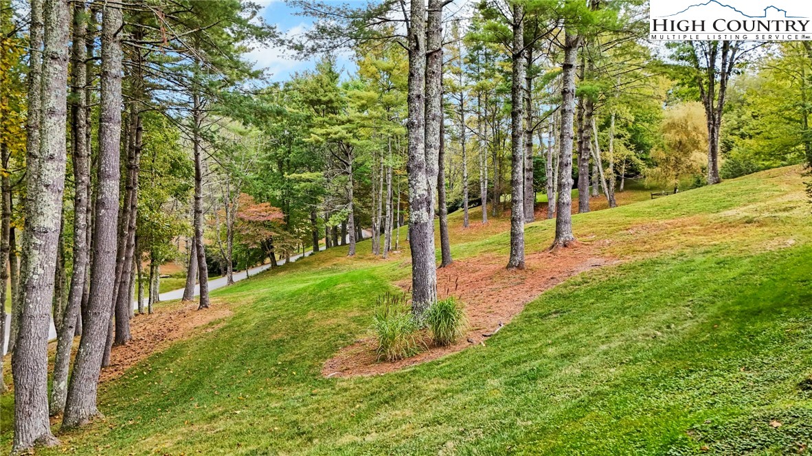 Vilas, North Carolina 28692, United States, 3 Bedrooms Bedrooms, ,4 BathroomsBathrooms,Residential,Active,228551