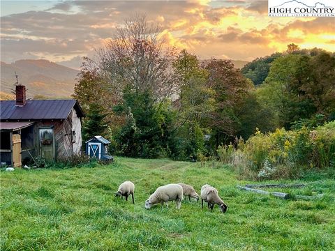 Photo of 261 Tumbling Brook Drive, Banner Elk, NC 28604 (MLS # 257115)